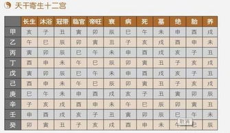 十二月在五行中又叫什麼,一九六零年十二月十六齣生的,在五行中是什麼