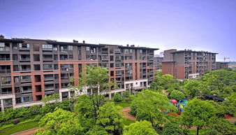 房子屬木我屬金怎麼辦,八字命理我19時6分本人初步一算八字木旺缺金我想補金可有人不能補