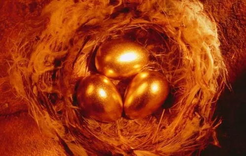 屬火的生肖是那個,火肖是什麼生肖?