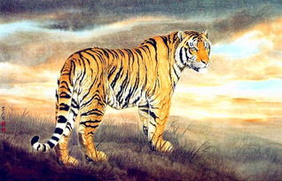 屬什麼生肖火最多,12屬相哪一種屬相的人最多?