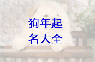 姓賀屬火男寶寶姓名,本人姓賀,誰能幫忙給我孩子起個大氣的名字本人姓賀,我老婆懷孕