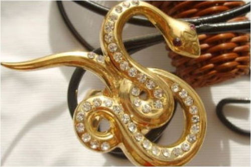 為什麼蛇屬火又缺火,我老公屬蛇的,屬火,我是屬馬的 屬水,所以經常水火不容 經常鬧