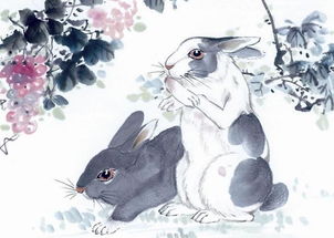 屬虎的火命和屬兔的火命合嗎,我是虎年老公兔年兩家屬火合來嗎