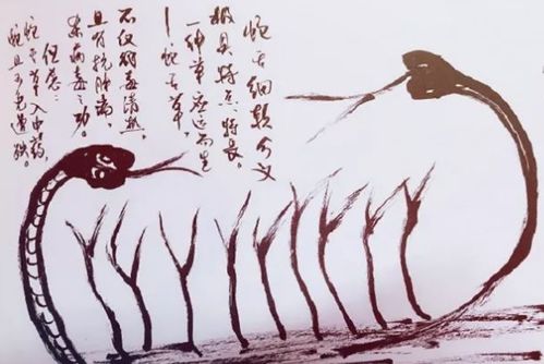 屬金命的人適合方向,五行屬金適合在那些城市發展方向