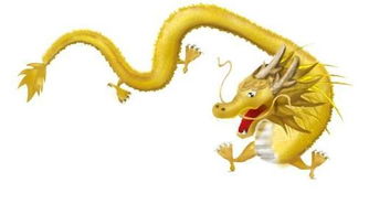 金命屬龍男交運時間,生辰八字交運時間