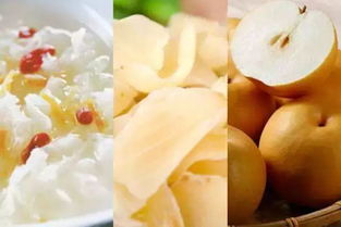 屬金的食物是什麼,屬金的食物有哪裡呀?