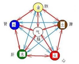 屬牛5月金木水火土是啥,我是97年的屬牛,不知道我在五行金木水火土中是哪一個