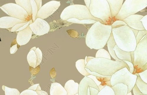 屬虎水命還是金命,怎麼看自己是金命還是水命呢