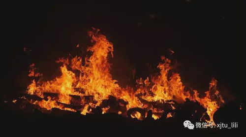 五行屬金起名字帶火,取名