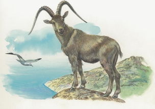 帶火字的男孩屬羊,五行缺土缺火的男孩取名