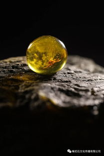 金火土屬土金號是什麼,我的五行是,金火金土水土火火,請問大師我是屬金的還是屬土火啊,