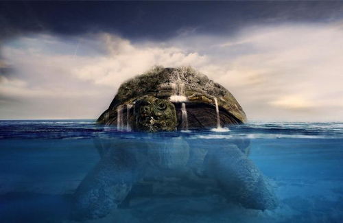 聖五行屬水還是火,怎麼區分名字是屬金 木 水 火 土的?