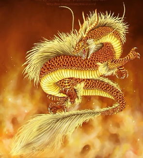 88屬龍的人命里缺金嗎,1988年,屬龍,五行缺什麼?