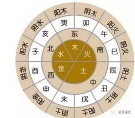 12在五行中代表什麼呢,八字中,十二地支所代表的五行意義分別是什麼?