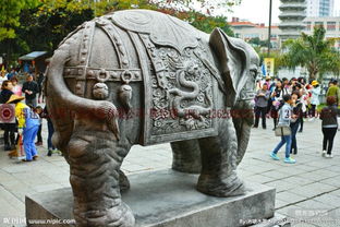 大象的五行屬水還是屬金,大象是吉祥的象徵嗎求解答