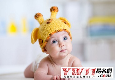 屬狗五行屬木缺火起名字,五行缺木和火起什麼名字