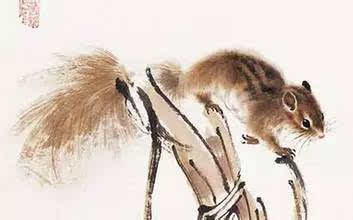 屬鼠金旺喜用神為火,84年女鼠海中金命五行木旺日主天干為土八字喜火適合從事什麼事業?