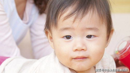 胡藝瓊屬火女寶寶小名,女孩姓名張卜丹意思