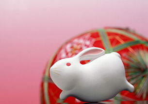 女豬火命找屬兔緣分好嗎,屬兔和屬豬的婚姻相配么