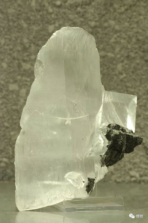 硫酸鈣帶兩個結晶水屬不屬於鹽,硫酸鈣是鹽嗎?