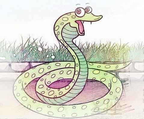 屬蛇的金命幸運色,屬蛇終生最吉利的顏色是什麼?