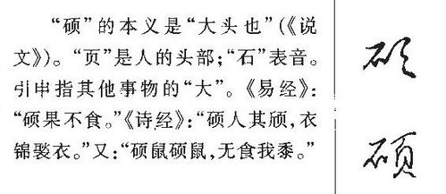 甯字五行屬什麼的,甯定五行屬火嗎