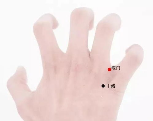 少陽三焦經穴屬火,手少陽三焦經五行屬什麼?