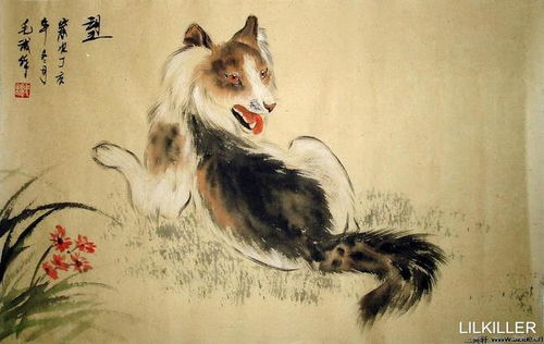 五行屬金女孩狗,狗年寶寶五行缺什麼