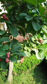 東屬木西屬金南屬,中國道教里的七十二福地都叫什麼名字,在哪裡?誰能詳細的介紹一下