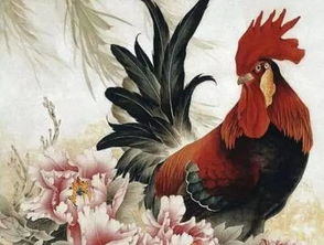 屬雞戴什麼屬金最好,屬雞的佩戴什麼好