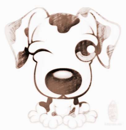 屬狗五行屬金幸運色,屬狗人永遠最旺的顏色