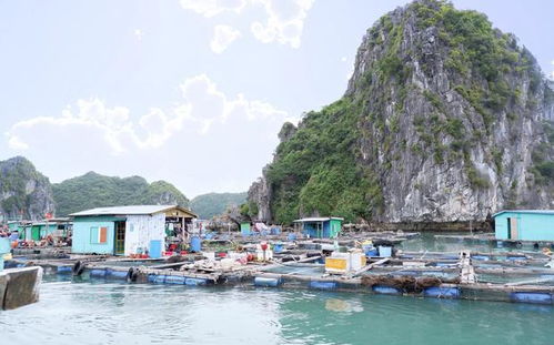 浙江紹興平水金漁村屬什麼區,紹興平水屬於二環外嗎