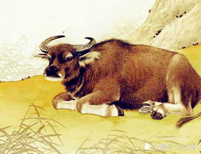 正月牛是屬金的嗎,十二生肖正月屬什麼