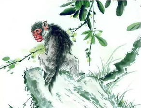 屬猴缺木火命男孩的三財配置,帶木帶火的男孩名字屬猴