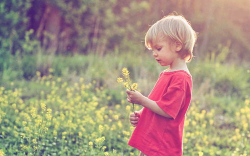 付姓男孩屬金名字大全,2015年付姓男孩取名帶金字偏旁什麼名姓