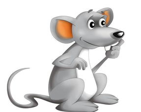 屬鼠的缺火起什麼名字,如何給女寶寶取個響亮的名字?屬鼠的寶寶,五行缺火,是女孩子哦!