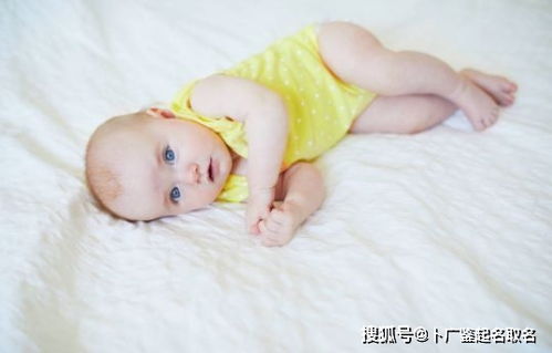 十四畫的五行屬水的漢字有,十四畫屬水的字有哪些