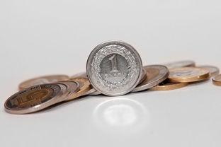 漢字五行屬什麼屬性水和金,漢字五行屬什麼的