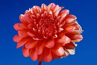 夫妻二人五行屬火,夫妻五行屬性查詢