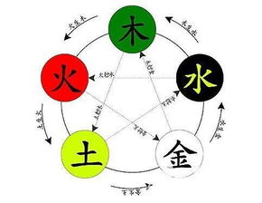 今五月份虎五行屬,虎年陰歷五月十九十九點五十五的生辰八字是什麼