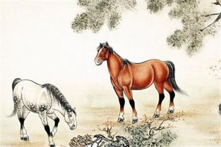 屬馬的人有土和火好不好,土命和火命好嗎