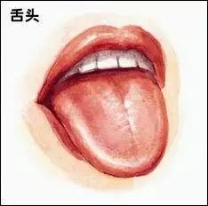 五官中舌屬火主要採用,人的五臟分別對應哪五行