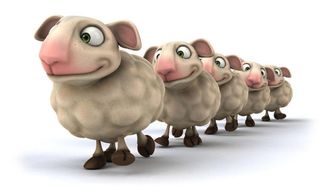 屬羊人女人火命佩戴什麼旺自己,屬羊的女孩戴什麼首飾助運