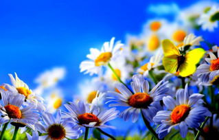 屬金的人是哪一生的,「爐中火大海水山下火」等等的命,各是哪一年生的.請復制一?愛問