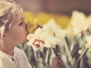 五行行屬火的小名,五行缺火,想起女孩缺火的小名,請大家幫幫忙