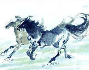 屬馬五行金少的女人性格,生肖屬馬的人性格分析