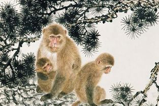 屬火生肖能不能帶金,一個屬相,有金有火對么?為什麼有的是金,有的是火呢?