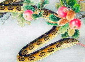 屬蛇人命里有三層火是什麼意思,三頭火是什麼意思