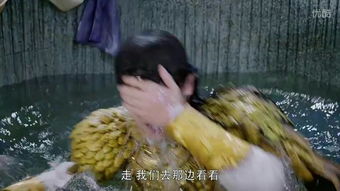 旭鳳的兒子屬.火還是水,二零一二年三月十一(農歷二月十九)下午二點零二分出世,請專家看