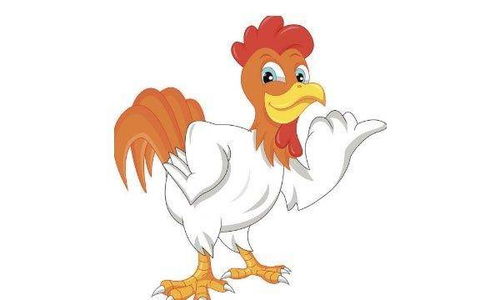 屬雞跟屬什麼的合火好,屬雞和什麼屬相配